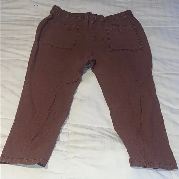Pilcro Anthropologie Women’s Brown Casual Pants size XL EUC - Picture 5 of 5